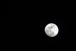 KA_Moon Rise_Full Moon_032216_001