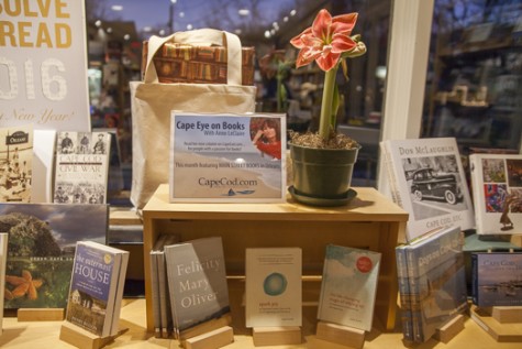Cape Eye On Books and Main Street Books' January selections