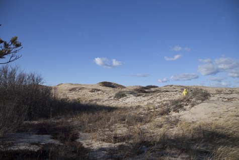 KA_Province lands dune hike_Ptown_Provincetown_dunes_winter_sunny_011216 _152