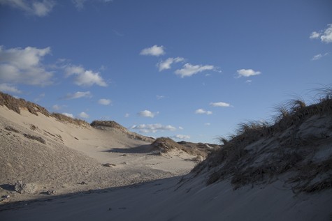 KA_Province lands dune hike_Ptown_Provincetown_dunes_winter_sunny_011216 _174