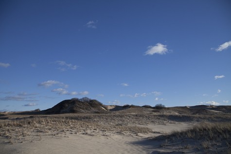 KA_Province lands dune hike_Ptown_Provincetown_dunes_winter_sunny_011216 _185