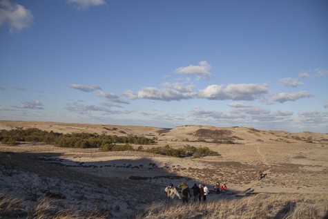 KA_Province lands dune hike_Ptown_Provincetown_dunes_winter_sunny_011216 _189