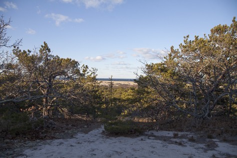 KA_Province lands dune hike_Ptown_Provincetown_dunes_winter_sunny_011216 _194