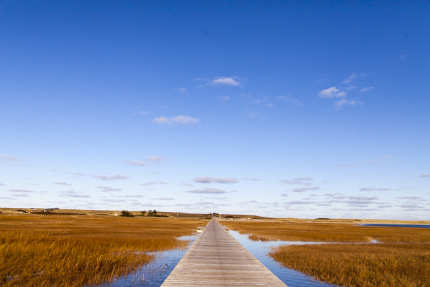 5 Spectacular Things You Can Only Do in Sandwich
