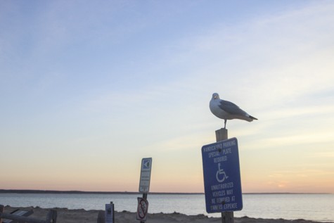 KA_Sunset_Eastham_First Encounter Beach_winter_030116_004