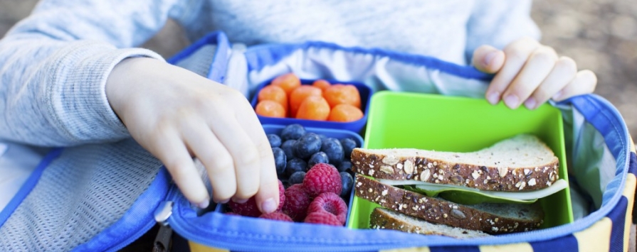 172 Million for Free Lunch used to Improve Learning