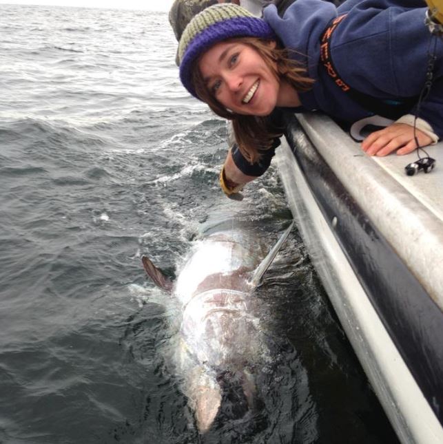 Atlantic White Shark Conservancy Names First Staff Scientist - CapeCod.com