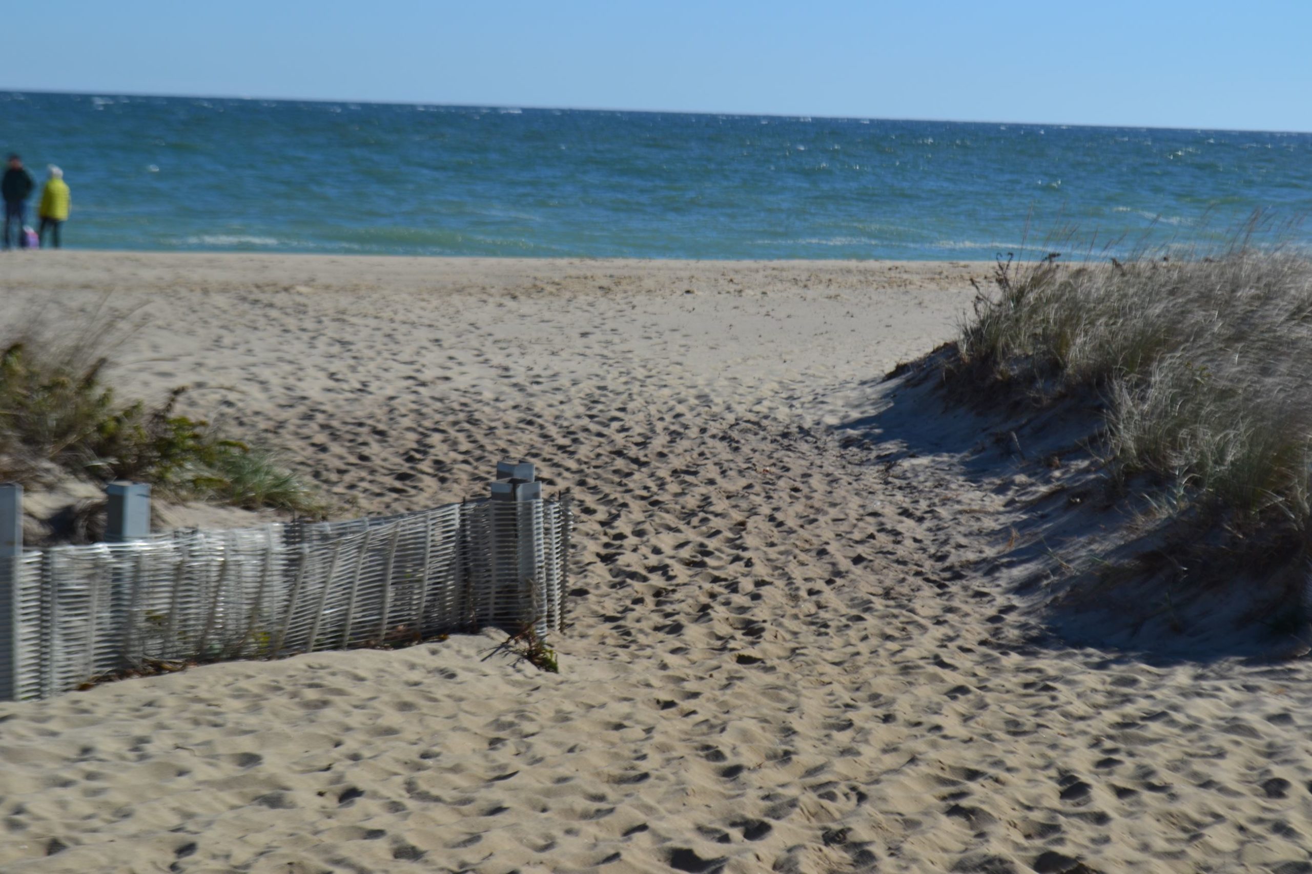 Nantucket's Sconset Beach Named a Top 25 Island Beach Worldwide