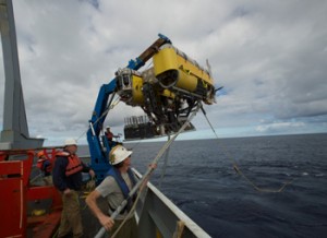 On the HADES cruise, Nereus brought back to the surface specimens of animals previously unknown to science and seafloor sediment destined to help reveal the physical, chemical, and biological processes that shape the deep-ocean ecosystem and that make ocean trenches unlike almost any other part of the planet. (Photo by Ken Kostel, Woods Hole Oceanographic Institution)