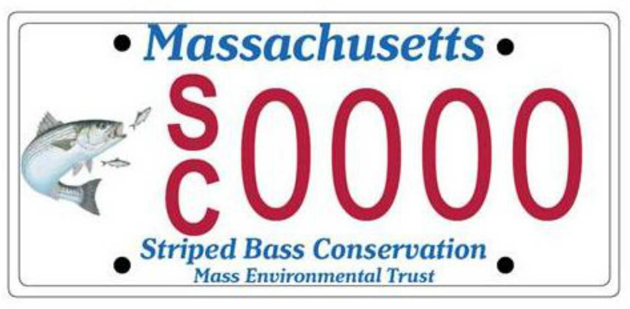 Striped Bass Specialty License Plates Now Available in Massachusetts