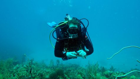 MIT-WHOI Joint Program Student Max Kaplan scuba diving over a coral reef in the Virgin Islands. (Photo by T. Aran Mooney, Woods Hole Oceanographic Institution)
