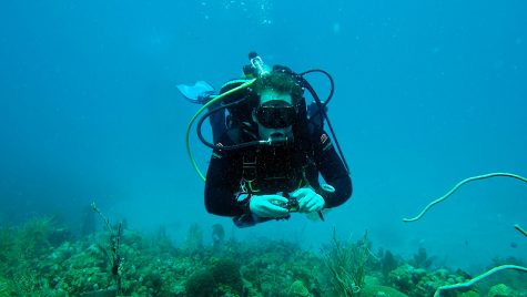 MIT-WHOI Joint Program Student Max Kaplan scuba diving over a coral reef in the Virgin Islands. (Photo by T. Aran Mooney, Woods Hole Oceanographic Institution)