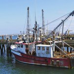 Provincetown-Fishing-Trowler