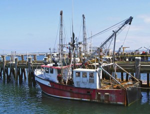 Provincetown-Fishing-Trowler