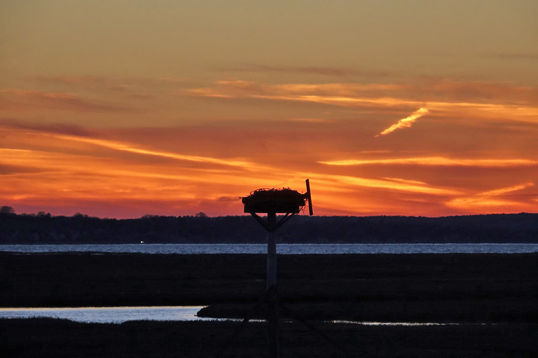 Barnstable to Update Public Beach and Pond Hours