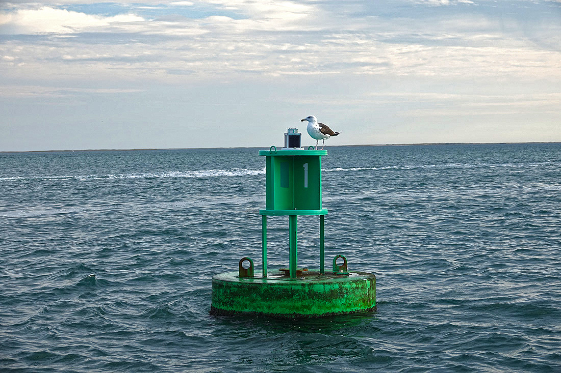 The Cape Cod Morning News October 18th, 2017