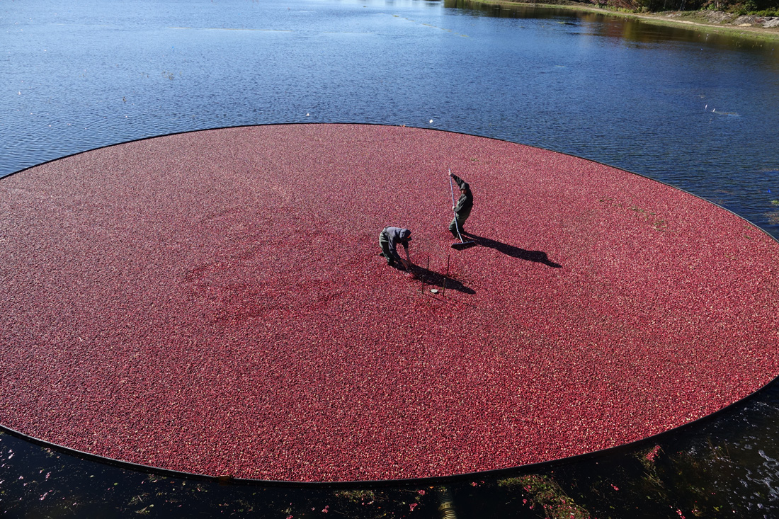 Cape Cod Watercolors!