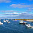 Harbor Thoughts!