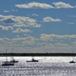 Scenic Views Around Chatham’s Harbors