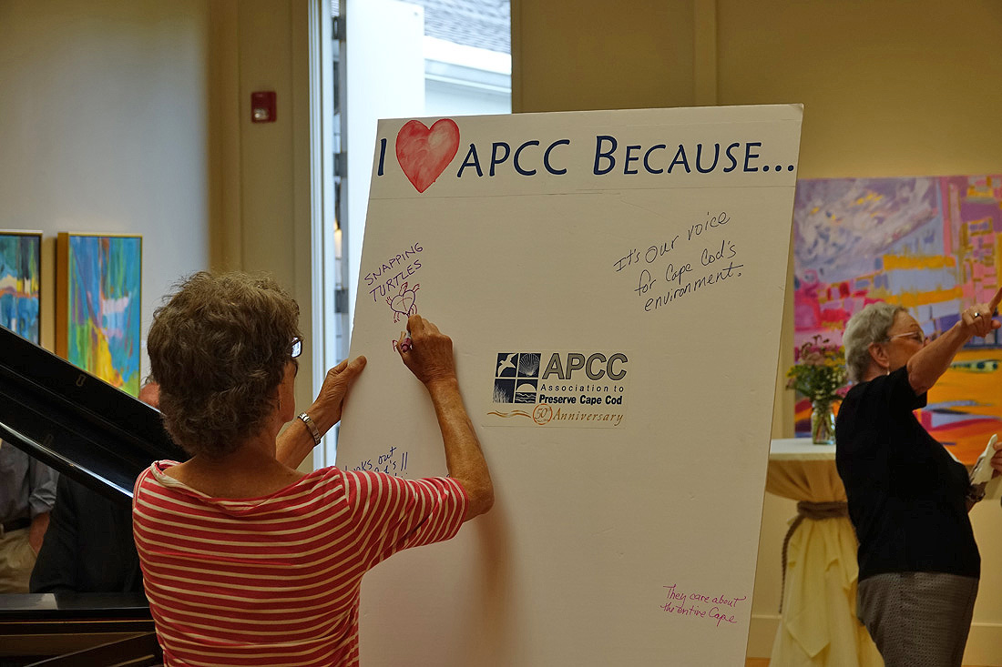APCC Marks 50 Years as Cape Cod’s Environmental Advocacy Organizer