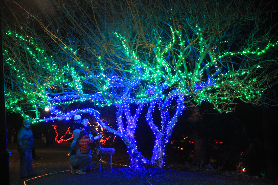 Heritage's Gardens Aglow Opens in Sandwich