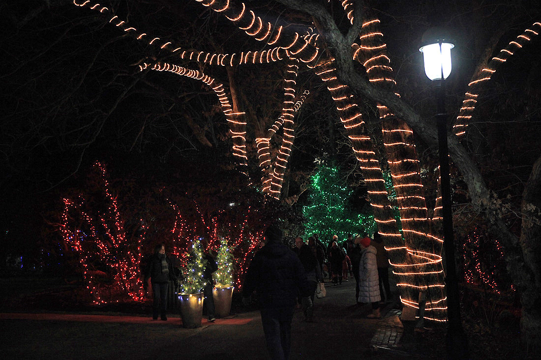 Heritage to Open Gardens Aglow Next Week