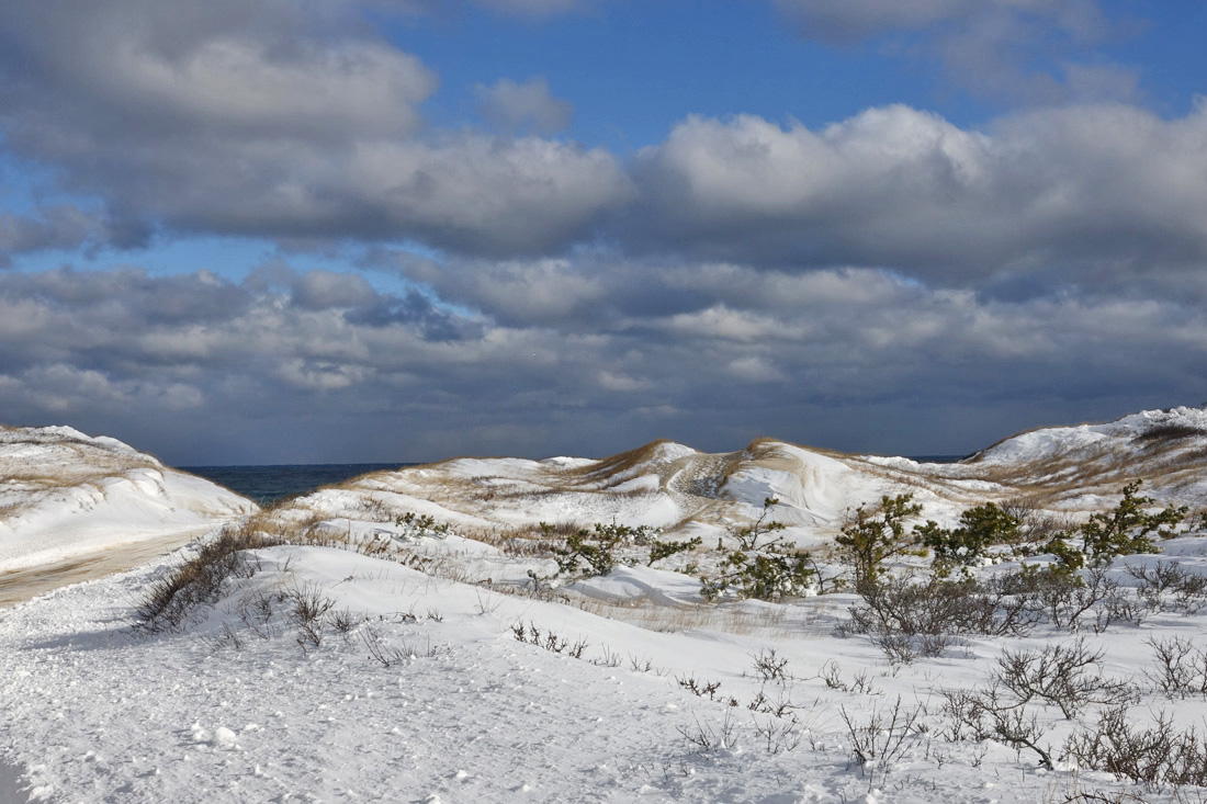 Snow Time Photos Wellfleet & Truro!