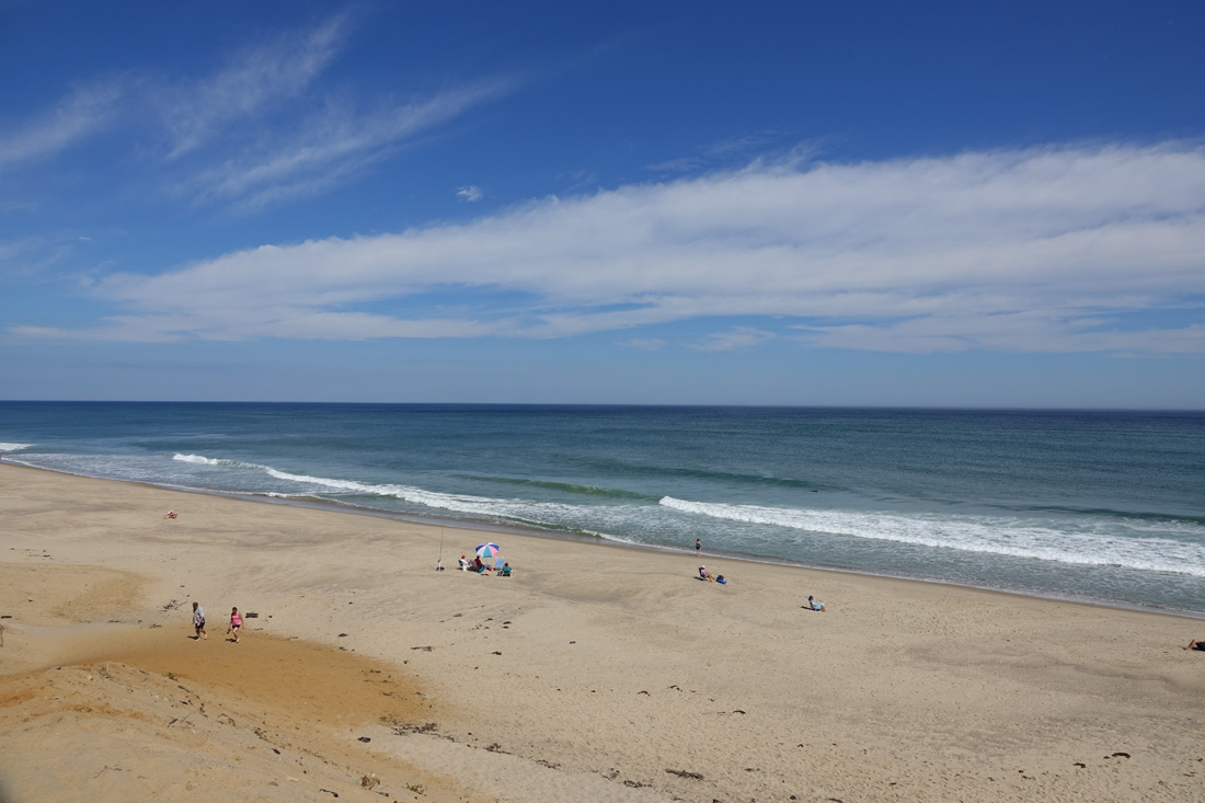 Wellfleet Town News & Information