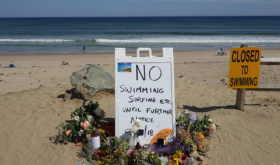 Officials to Discuss Shark Safety Following Fatal Attack