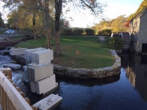 Photo credit: Dave Read