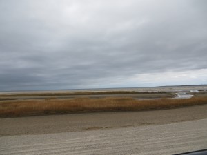 CCB MEDIA PHOTO Portion of Sandy Neck Beach in West Barnstable recently purchased with Community Preservation Funds
