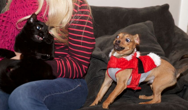 Screen Shot 2015-12-15 at 1.41.12 PM