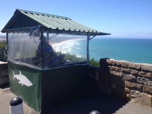 A shark spotter in Cape Town, South Africa.