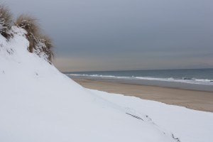 Snow on the Beach