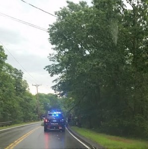 CCB MEDIA PHOTO Tree down in Sandwich as thunderstorms slammed Cape Cod Tuesday