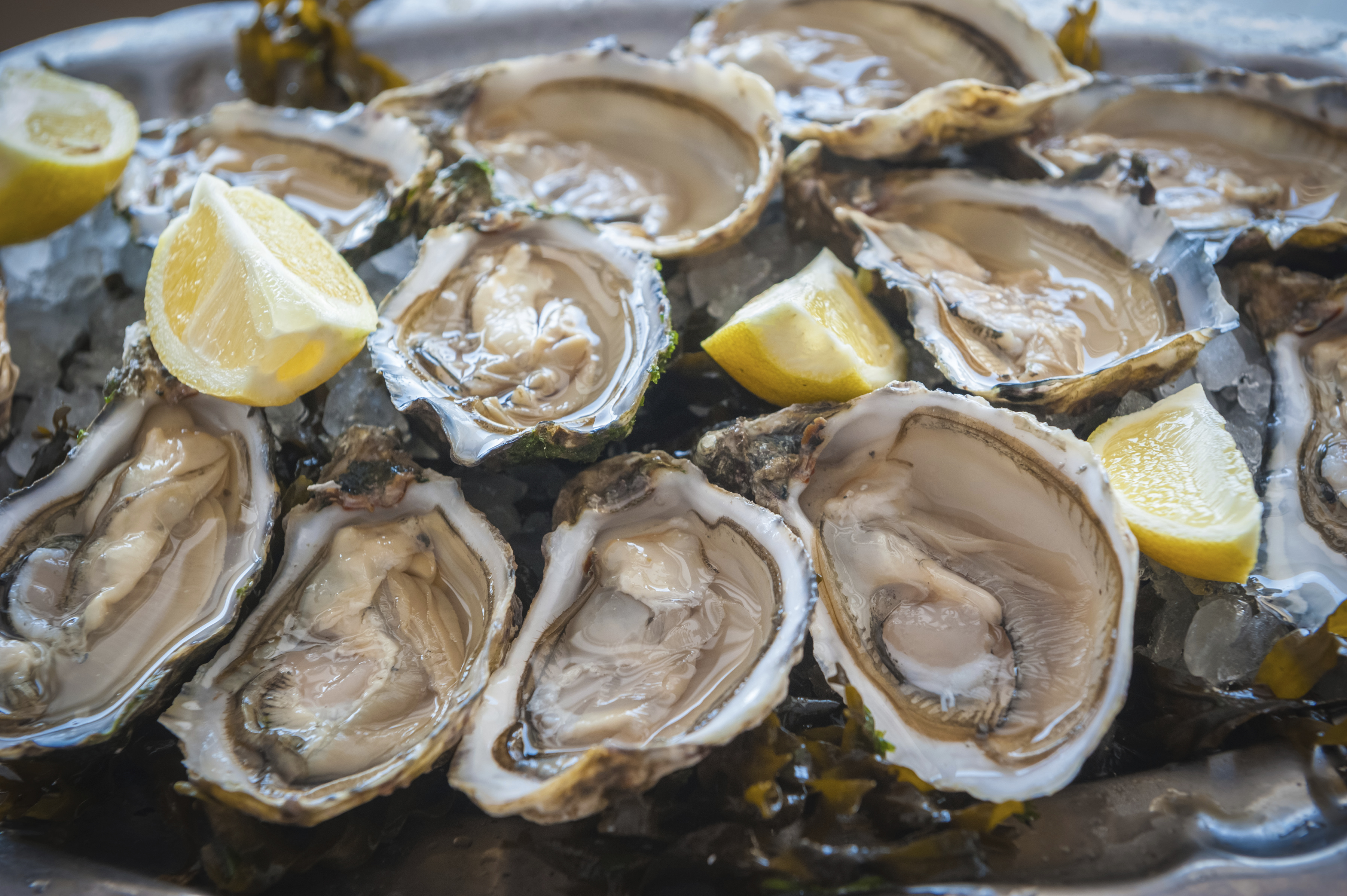 The Best Places to Get Oysters on the Cape