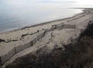 An image taken of Town Neck Beach by the webcam set up by the U.S. Geological Survey Coastal and Marine Science Center.