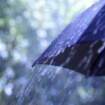 Umbrella-Rain
