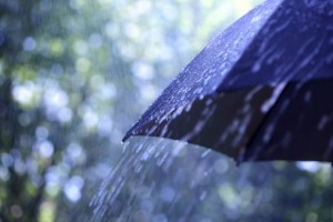 Umbrella-Rain