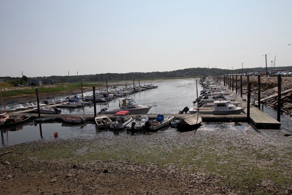 Photo courtesy: Wellfleet SPAT A lack of dredging has made Wellfleet Harbor nearly inaccessible at low tide