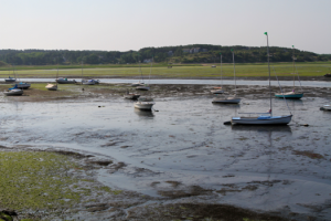 CCB MEDIA PHOTO Low tide and high silt runs moored boats aground in Wellfleet Harbor. 