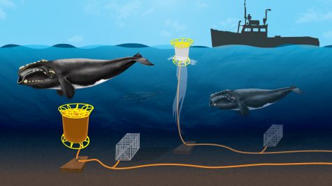 PHOTO COURTESY: Oceanus Magazine