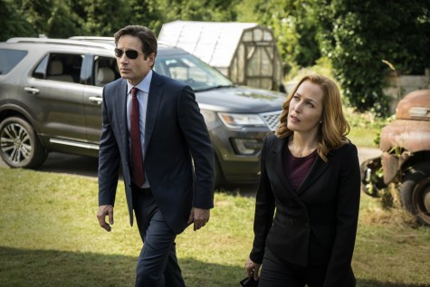  David Duchovny and Gillian Anderson are back in 'The X Files' (Ed Araquel/FOX)