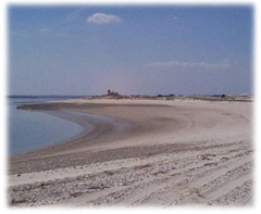 COURTESY TOWN OF BARNSTABLE Sandy Neck Beach in Barnstable