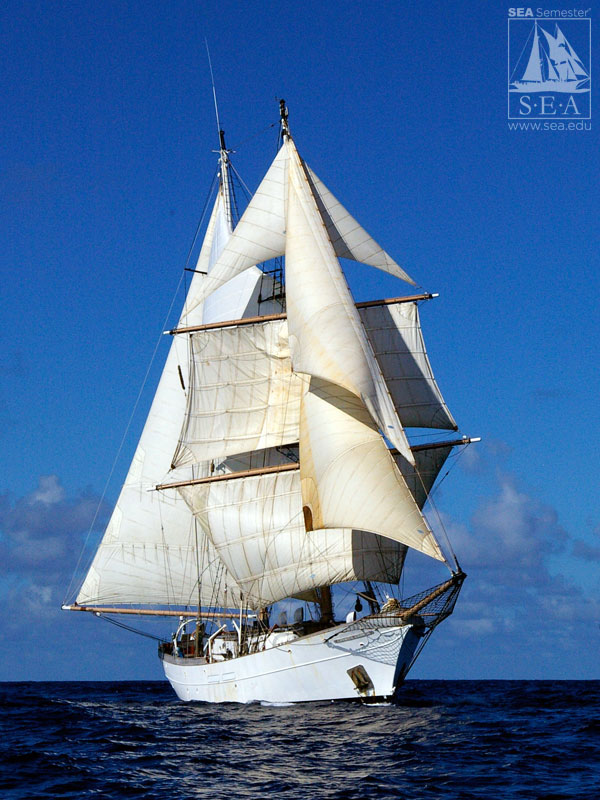 COURTESY OF SEA EDUCATION ASSOCIATION OF WOODS HOLE The SSV Corwith Cramer.