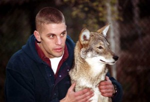 Dr. Jonathan G. Way of Osterville, seen here with one of his study subjects - the eastern coyote. Photo courtesy Adirondack Wildlife