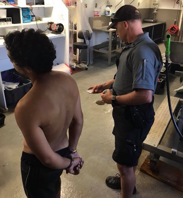 Man charged with shellfishing in contaminated waters in Falmouth