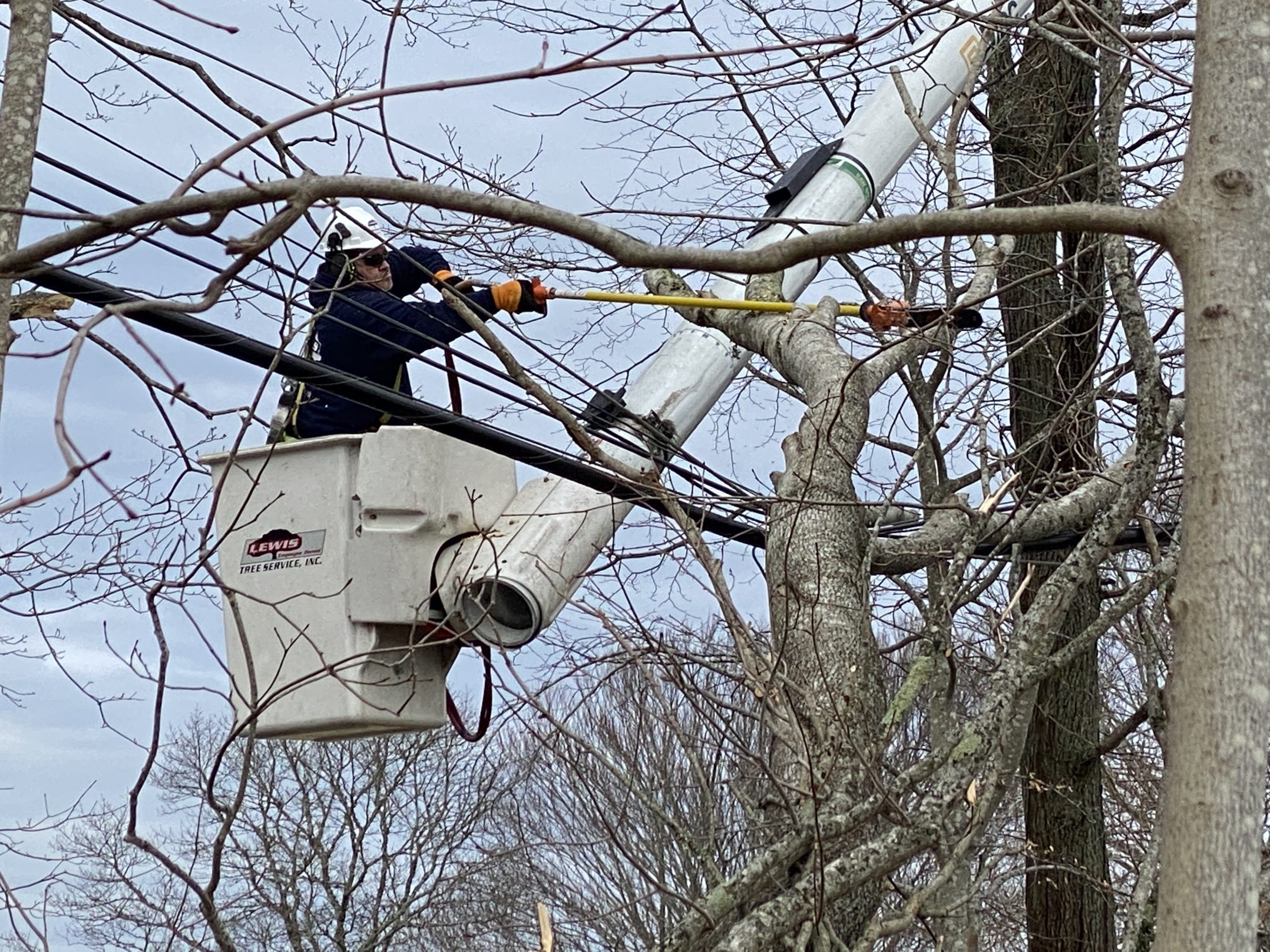 Dennis Town News & Information