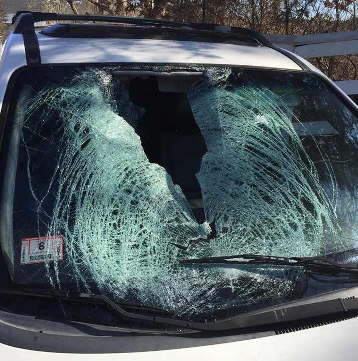Woman Escapes Serious Injury After Turkey Smashes Into Windshield Turkey Smashes Into Windshield
