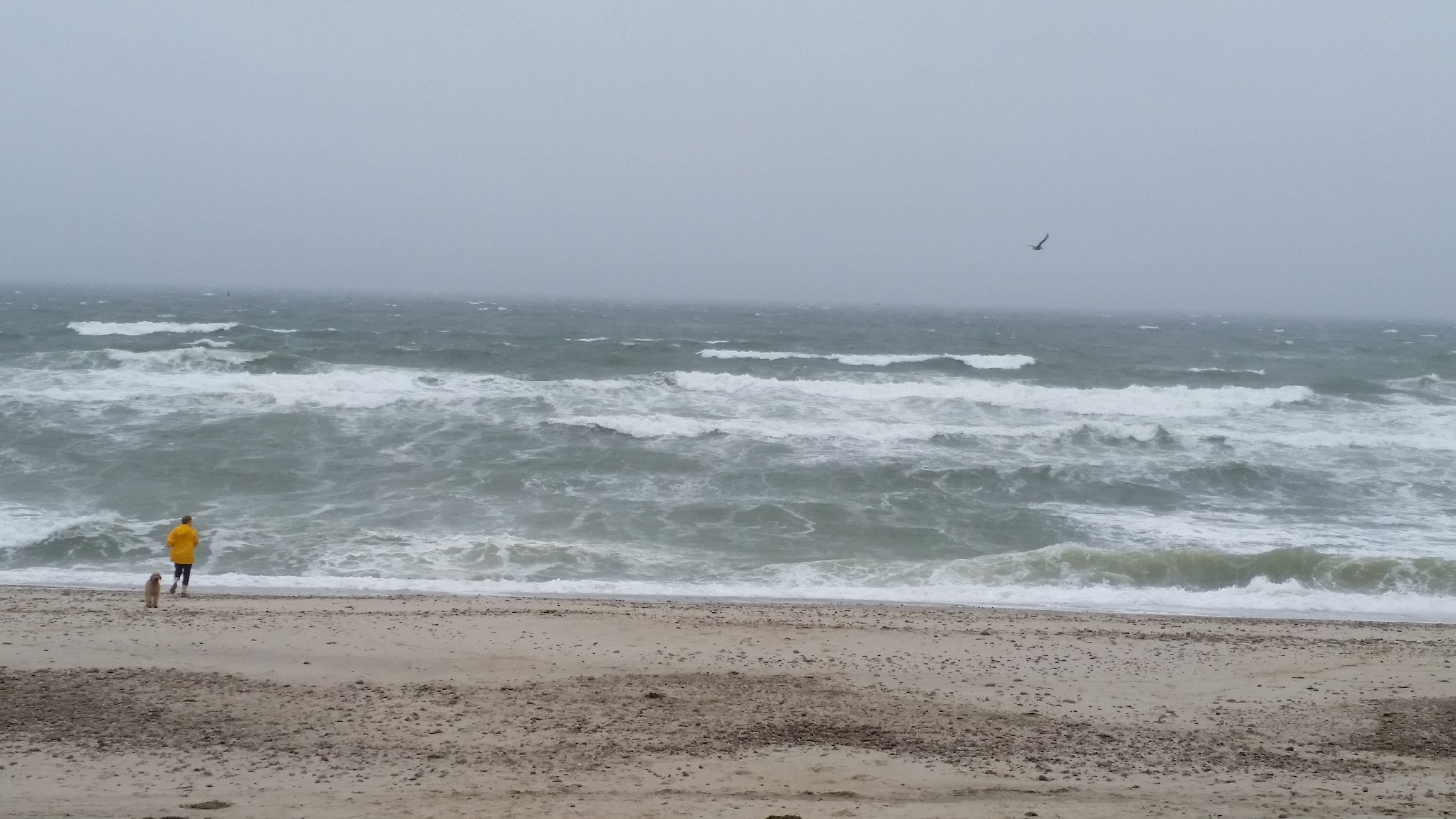 twc oceanic
